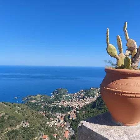 Vida カステルモーラ